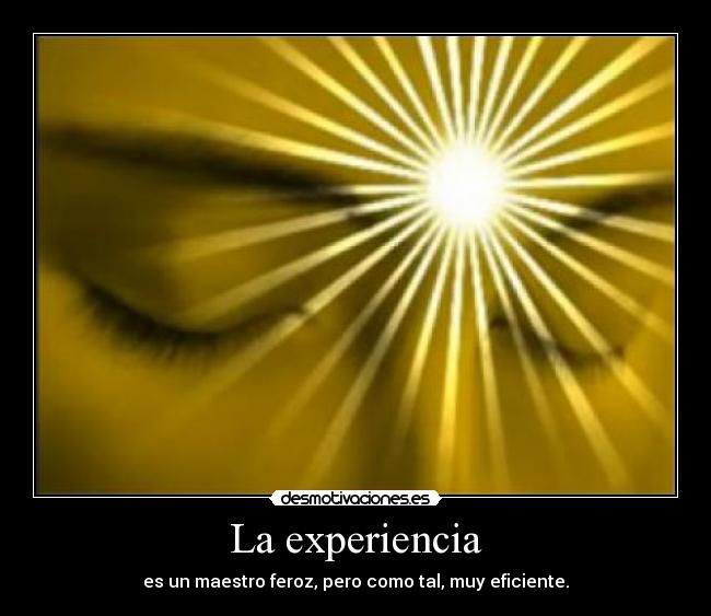 La experiencia - es un maestro feroz, pero como tal, muy eficiente.