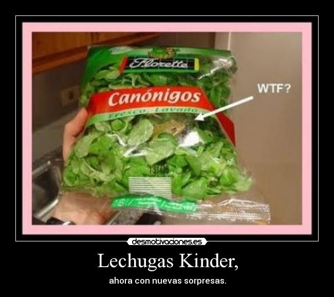 carteles lechugas kinder desmotivaciones