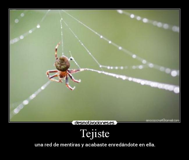 Tejiste -