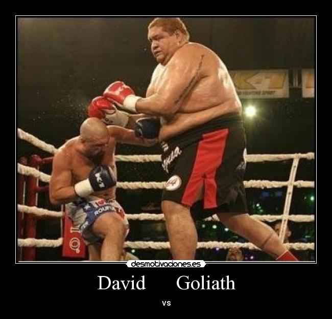 David Goliath -