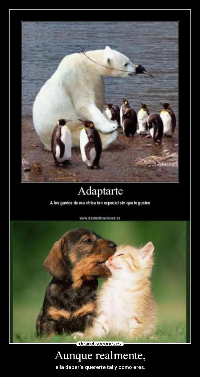 Aunque realmente, - ella debería quererte tal y como eres.