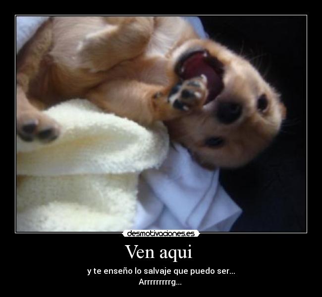 Ven aqui - y te enseño lo salvaje que puedo ser...
Arrrrrrrrrg...