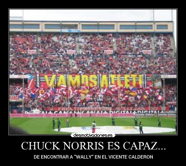 CHUCK NORRIS ES CAPAZ... -