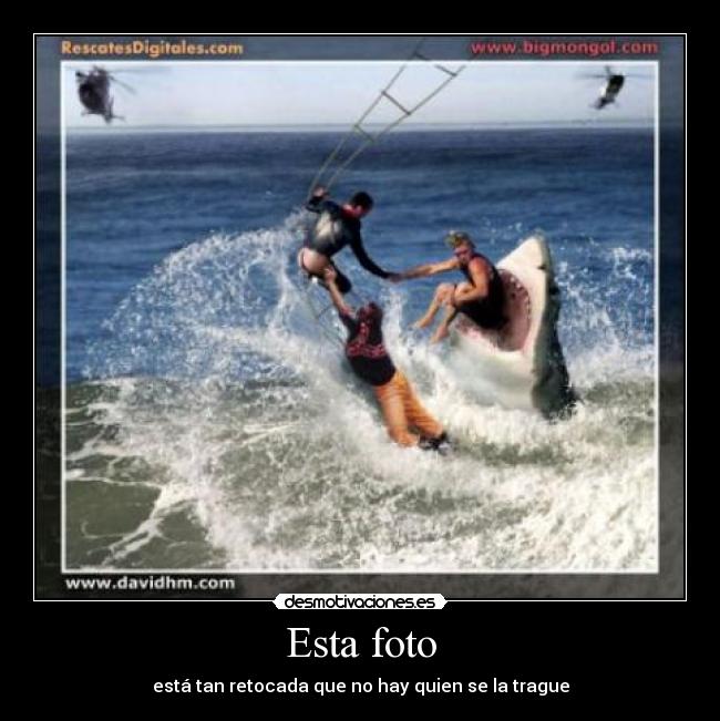 carteles foto desmotivaciones