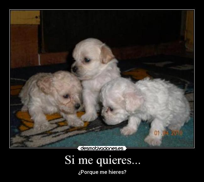 carteles asdasdasdasd desmotivaciones