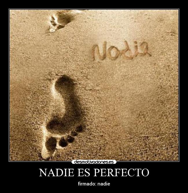 NADIE ES PERFECTO -