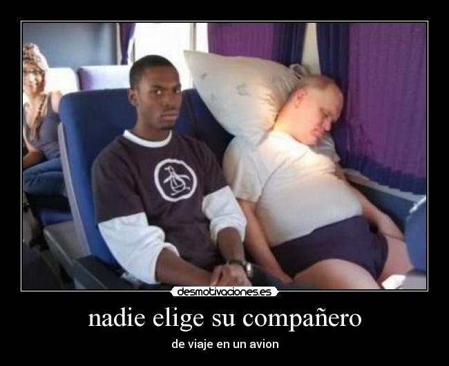 nadie elige su compañero - de viaje en un avion