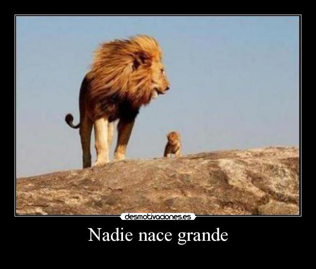 Nadie nace grande - 