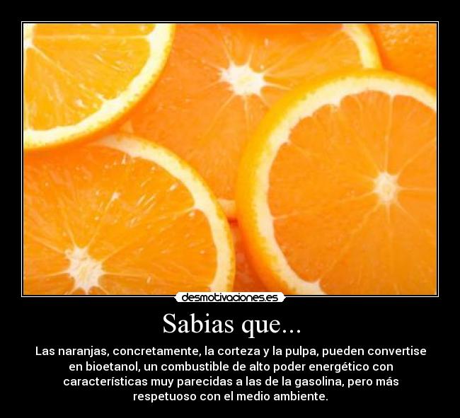 Sabias que... - Las naranjas, concretamente, la corteza y la pulpa, pueden convertise
en bioetanol, un combustible de alto poder energético con
características muy parecidas a las de la gasolina, pero más
respetuoso con el medio ambiente.