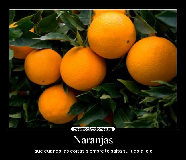 Naranjas - que cuando las cortas siempre te salta su jugo al ojo