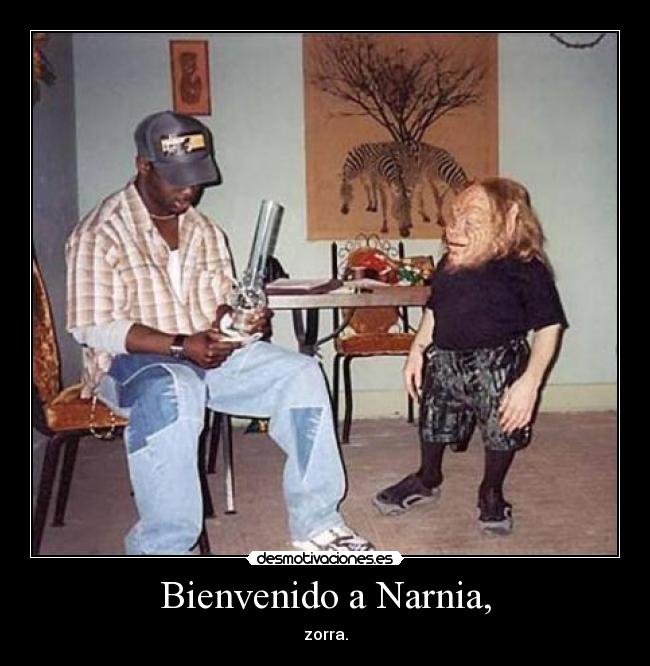 Bienvenido a Narnia, -
