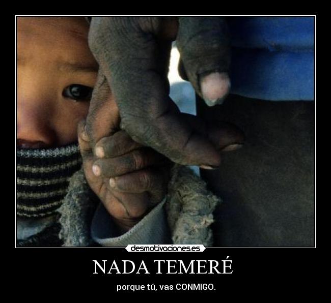 carteles temer desmotivaciones