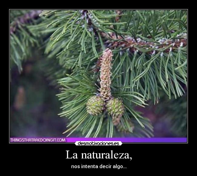 La naturaleza, -