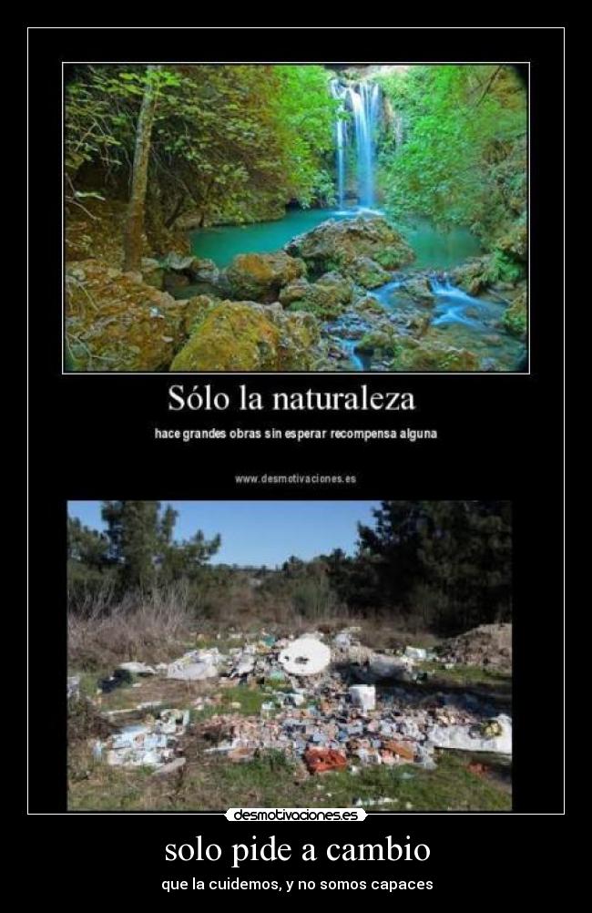 solo pide a cambio -