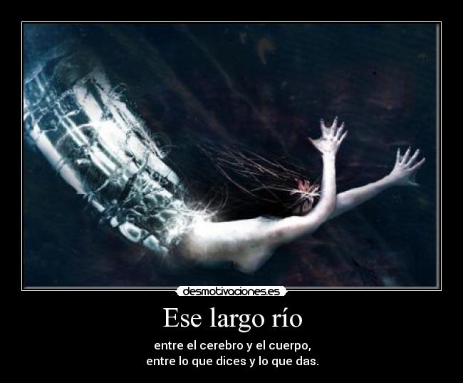 Ese largo río - entre el cerebro y el cuerpo,
entre lo que dices y lo que das.