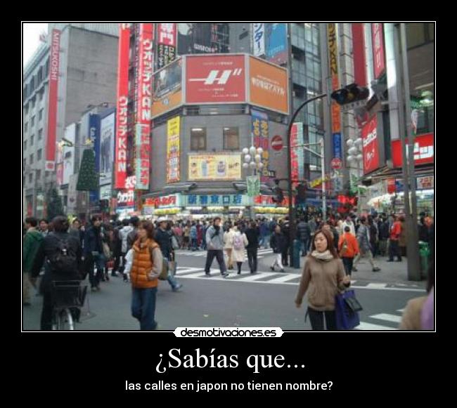¿Sabías que... -