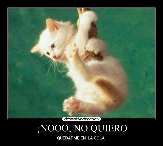 ¡NOOO, NO QUIERO - QUEDARME EN  LA COLA !