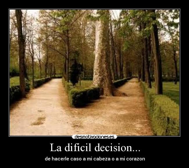 La dificil decision... - de hacerle caso a mi cabeza o a mi corazon