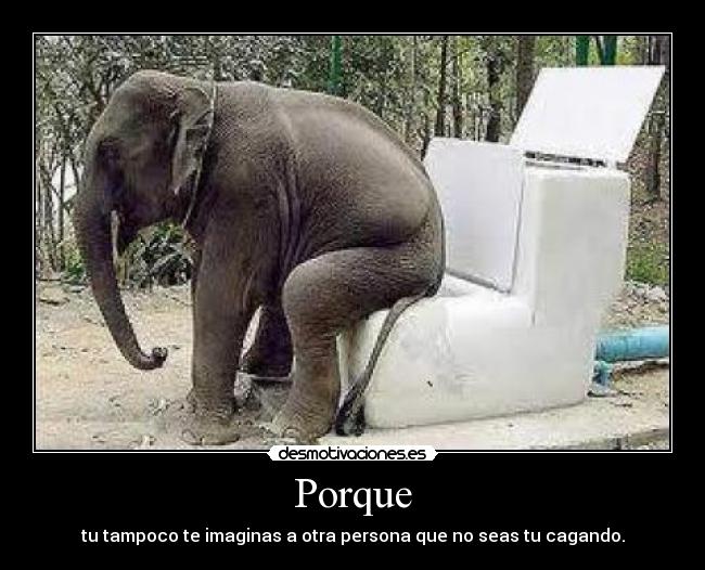 Porque - 