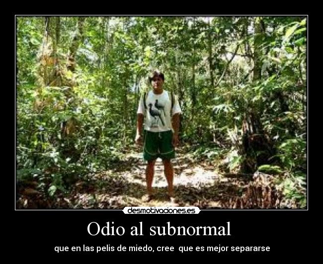 Odio al subnormal  - 