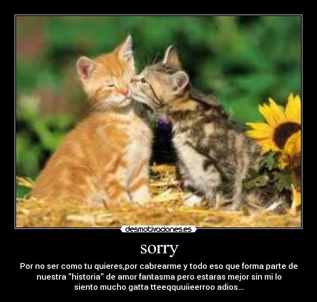 sorry - Por no ser como tu quieres,por cabrearme y todo eso que forma parte de
nuestra historia de amor fantasma pero estaras mejor sin mi lo
siento mucho gatta tteeqquuiieerroo adios...