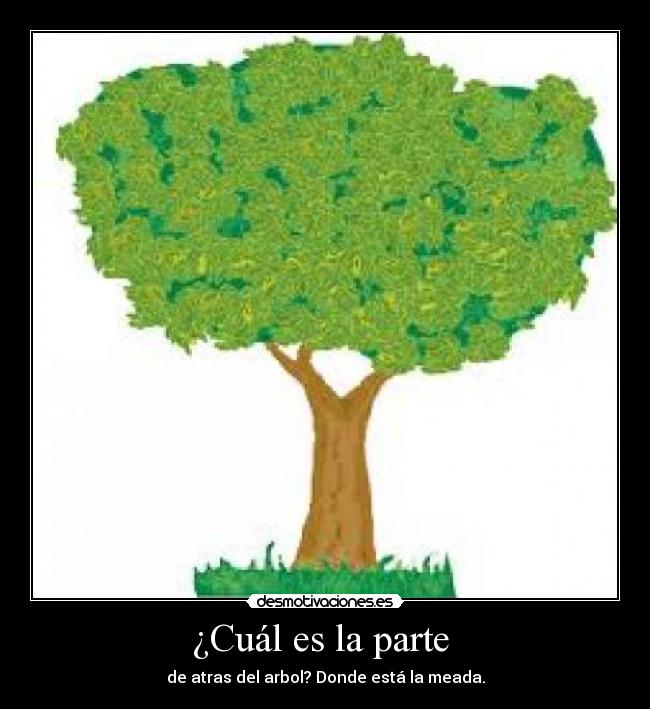 ¿Cuál es la parte - de atras del arbol? Donde está la meada.