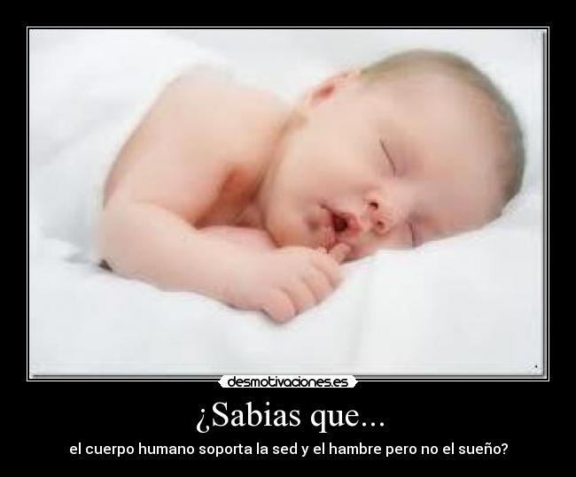 ¿Sabias que... - el cuerpo humano soporta la sed y el hambre pero no el sueño?