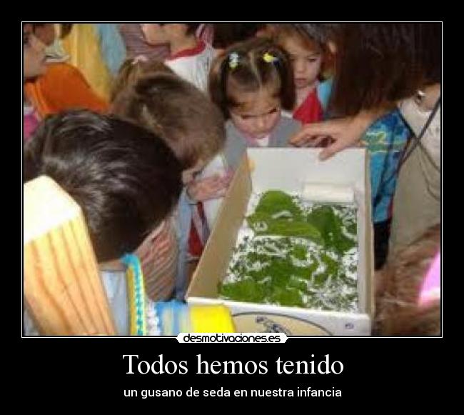 Todos hemos tenido - un gusano de seda en nuestra infancia