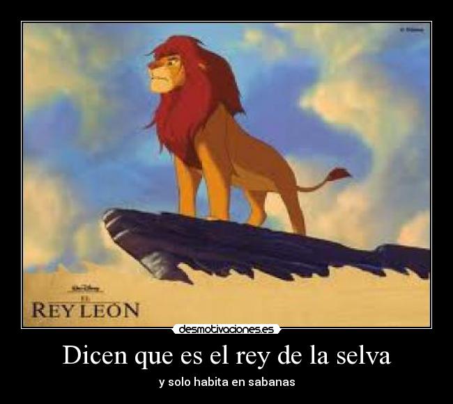 Dicen que es el rey de la selva - y solo habita en sabanas