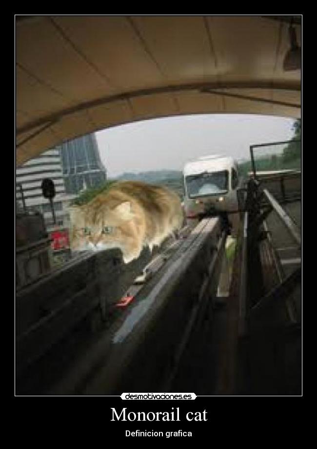 Monorail cat - Definicion grafica