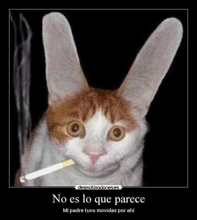 No es lo que parece - Mi padre tuvo movidas por ahí