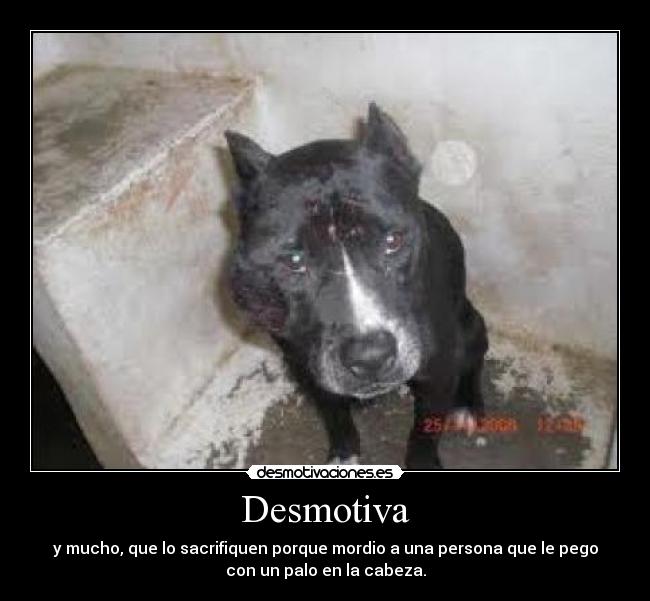 Desmotiva - 