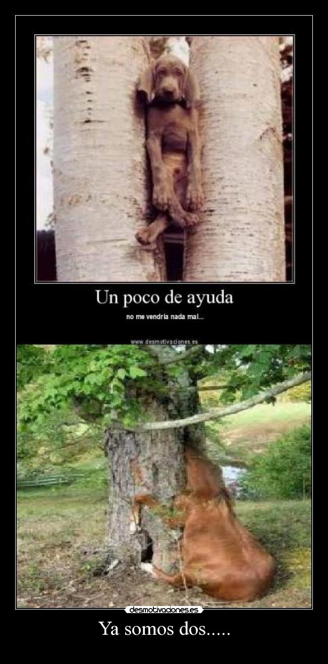 carteles croakcroakcroak desmotivaciones