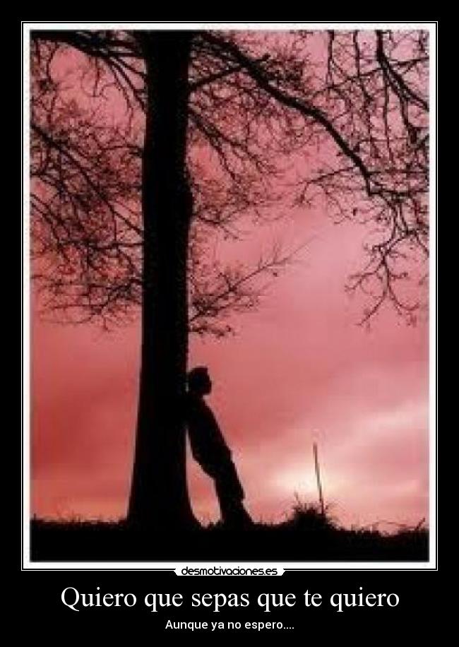 Quiero que sepas que te quiero -