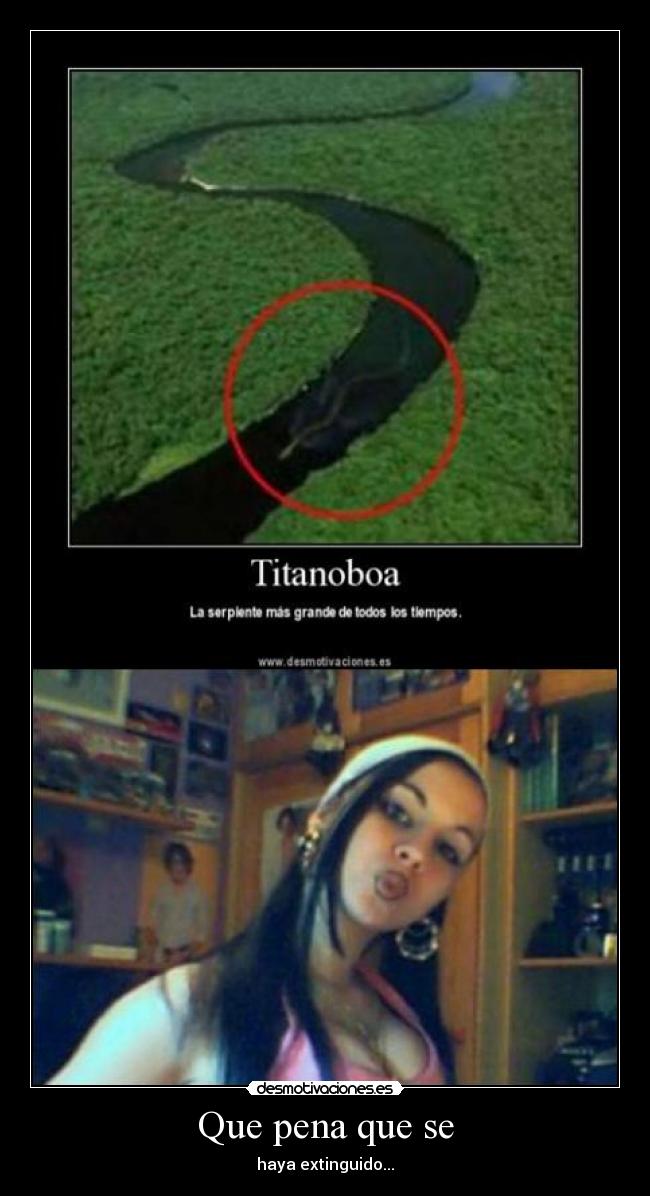 carteles desmotivaciones