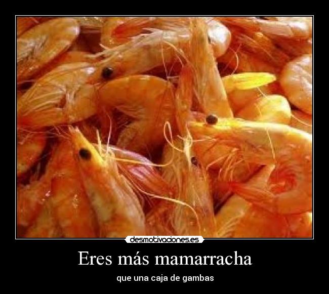 Eres más mamarracha -