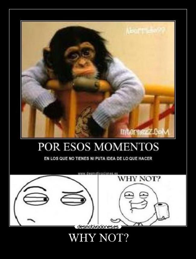 carteles why not desmotivaciones