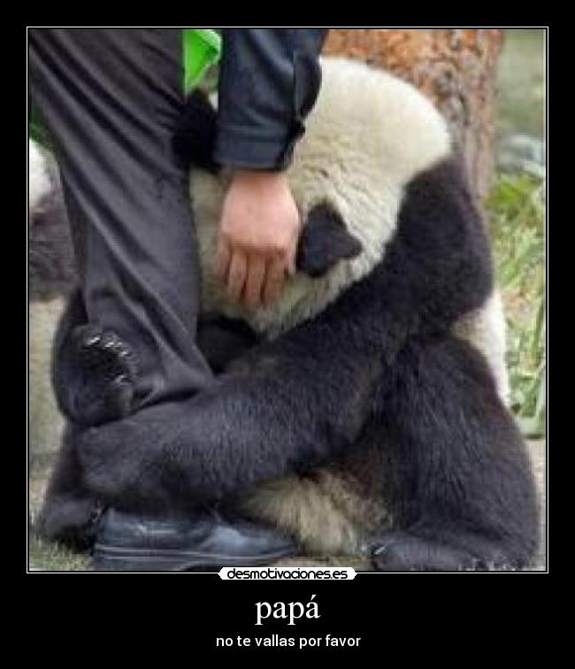 papá - no te vallas por favor