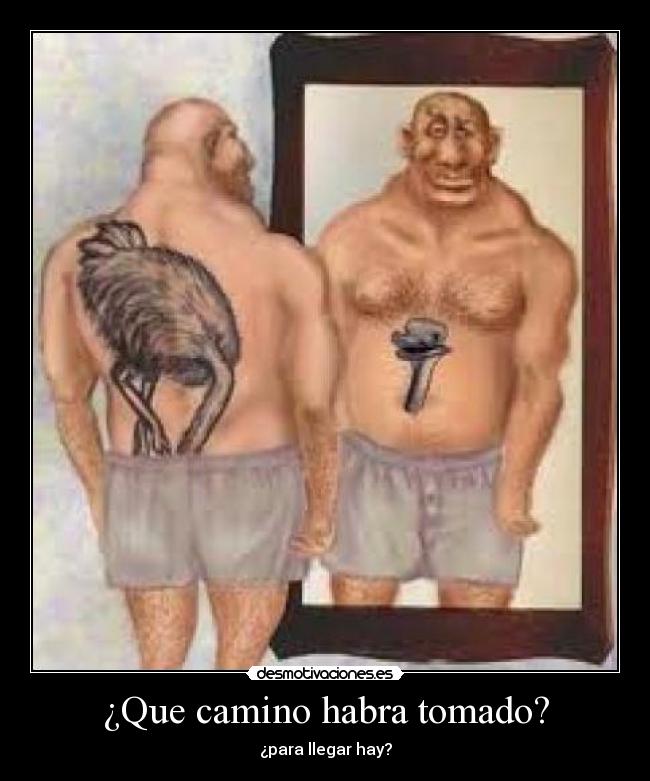 ¿Que camino habra tomado? - 