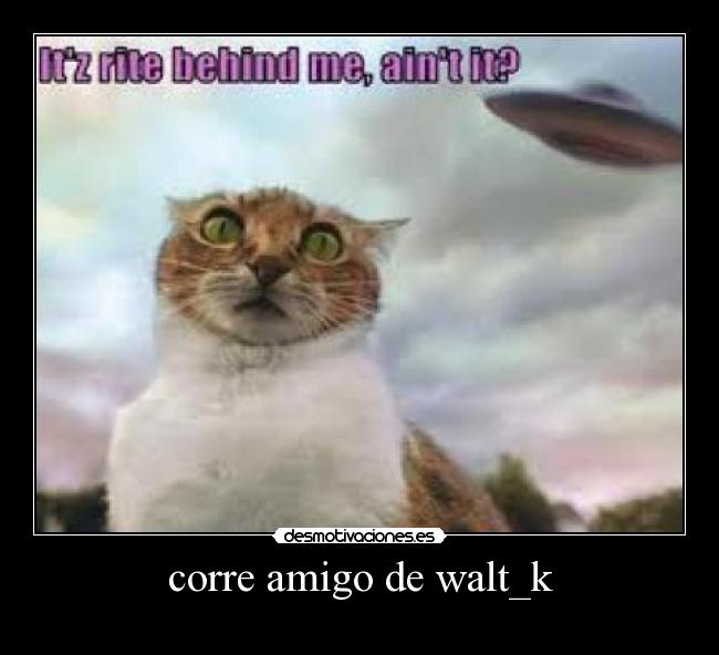 corre amigo de walt_k - 