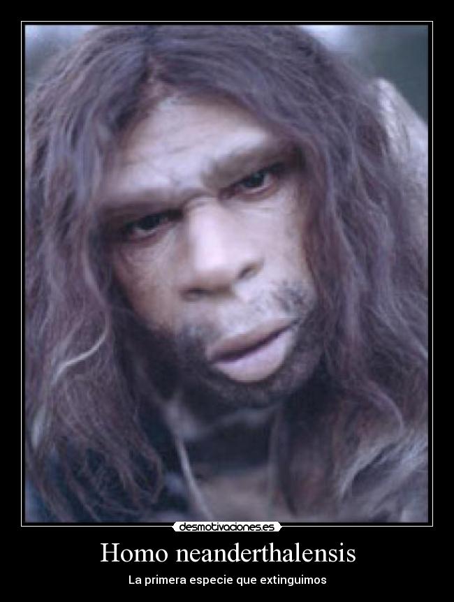 Homo neanderthalensis - 
