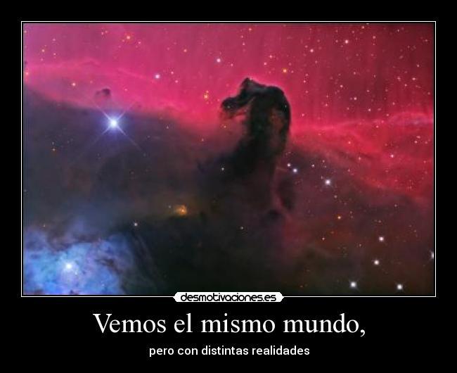 Vemos el mismo mundo, - pero con distintas realidades