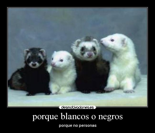 porque blancos o negros - porque no personas