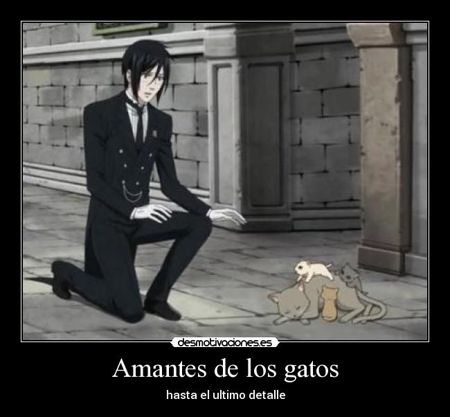 Amantes de los gatos - 