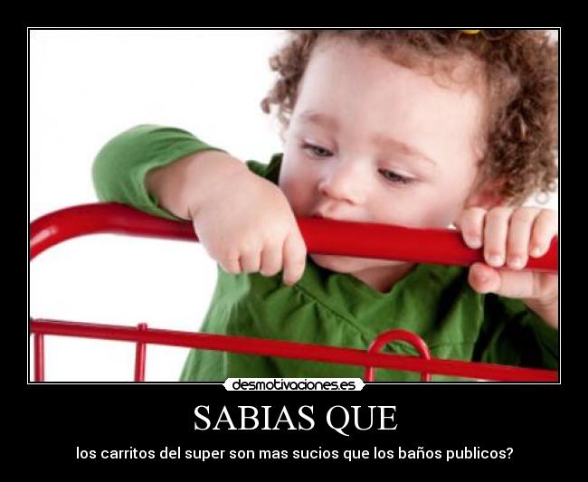 SABIAS QUE - los carritos del super son mas sucios que los baños publicos?