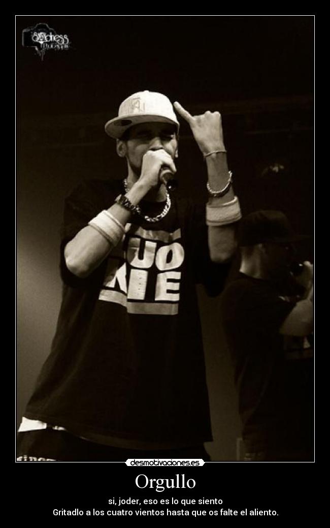 carteles nerviozzo orgullo desmotivaciones