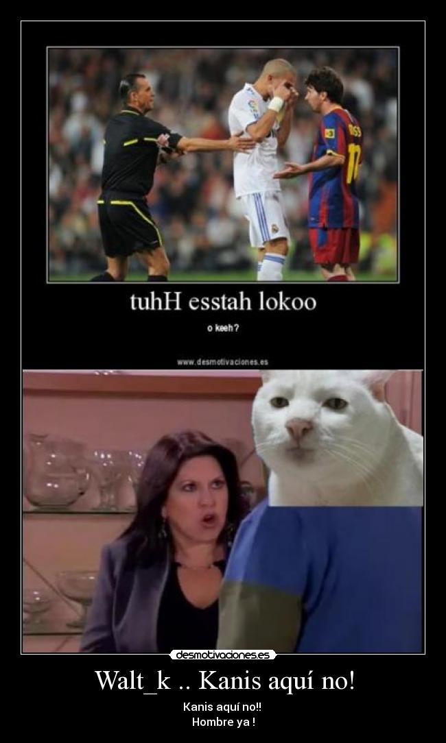 Walt_k .. Kanis aquí no! - Kanis aquí no!! 
Hombre ya !