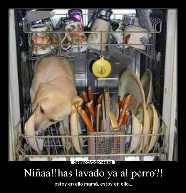 Niñaa!!has lavado ya al perro?! - estoy en ello mamá, estoy en ello...