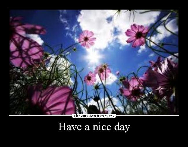 Have a nice day -