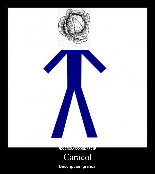 Caracol -